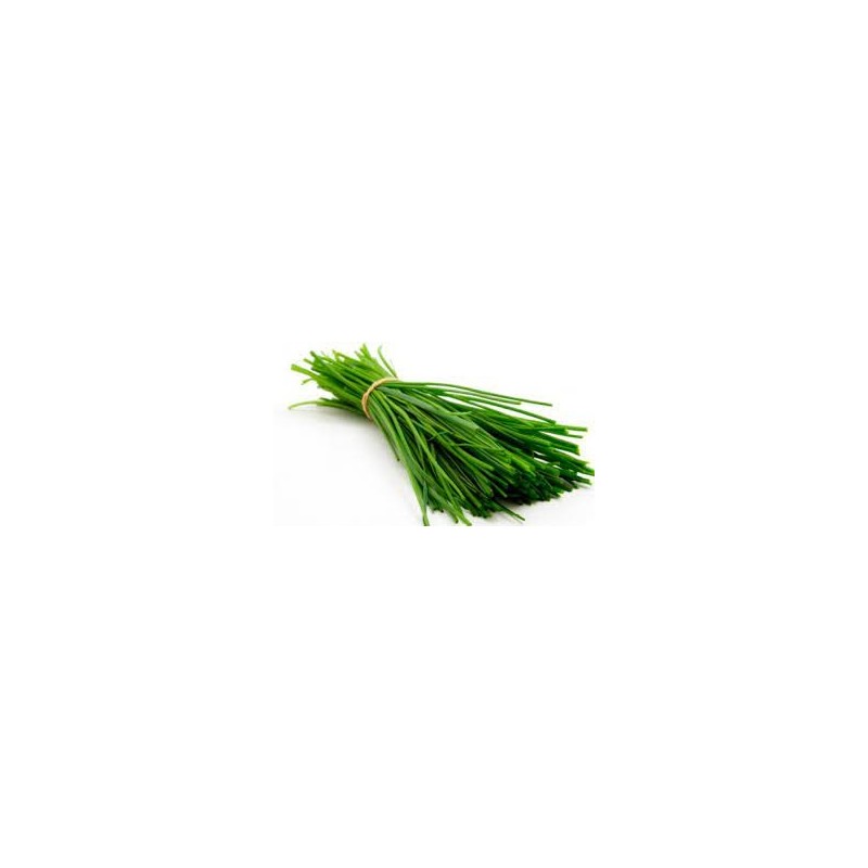 Supplément ciboulette